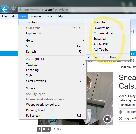 Internet Explorer Tool Bar Disappeared